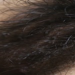 /photo/785674/林海/307efe97-1ca6-45b3-8d9f-87ed5aed31c3_1_1_small.jpg