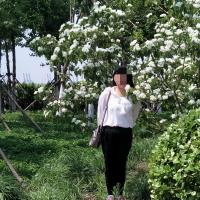 /photo/806793/最爱/img_20190530_053150_1_5_small.jpg