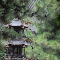 /photo/809863/无题/mmexport1531015425949_1_2_small.jpg