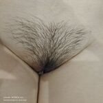 /photo/812383/相册2/000_1_3_small.jpg