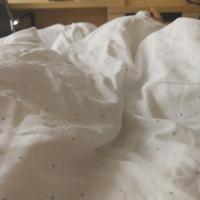 /photo/816181/不羁的疯狂/img_20180404_120756_1_3_small.jpg