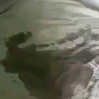 /photo/825833/云南交友/1688483352095_1676645626_1_6_small.jpg