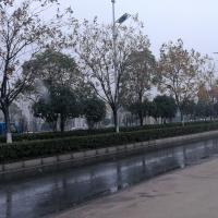 /photo/830624/无聊/img_20181210_113724_1_1_small.jpg