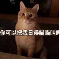 /photo/832621/郑州夫妻/2811d439-2e8c-4c62-8ea6-f3eb9cd87536_1_1_small.jpg
