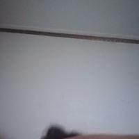 /photo/843797/本人妻子/img_20180811_174407_14_19_small.jpg