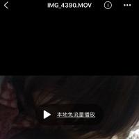 /photo/844515/丈母娘/bccba2cd-1597-4817-baa1-02924e808ab6_1_5_small.jpg