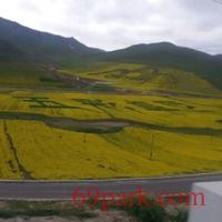 /photo/851739/游山玩水/微信图片_20191211013422_1_2_small.jpg