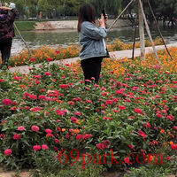 /photo/853784/亲爱的/img_20201002_120910_1_3_small.jpg