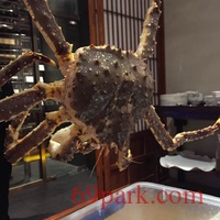 /photo/855844/xxx/c9d6d3ea-f404-43e8-a675-56fb9a9aa671_1_4_small.jpg