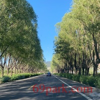 /photo/863055/日常生活/c66be333-1372-410b-94b5-af737c7bbb50_1_6_small.jpg
