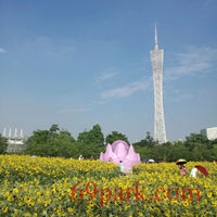 /photo/870812/我的生活/mmexport1561554608707_1_11_small.jpg
