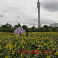 /photo/870812/我的生活/mmexport1561554695985_1_9_small.jpg