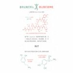 /photo/873989/喜欢和爱究竟有什么区别？/6_1_1_small.jpg