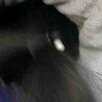 /photo/879260/xlp/1682269581123_img_202012_1_1_small.jpg