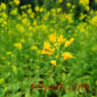/photo/879541/风景独好/img_20210303_114103_1_2_small.jpg