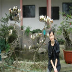 /photo/881317/生活照/b97988d6b93d9d128e4c00001f36b6ca_1_10_small.jpg