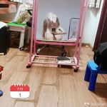 /photo/885057/小婊砸想男人了/a8f9ea84-4729-4596-b71f-e0b33b35d092_1_7_small.jpg