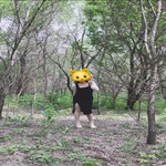 /photo/888930/露出/e074c10f-f213-483a-8f8c-60b549f3b1ed_1_8_small.jpg