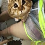 /photo/890806/找夫妻/wps图片编辑_1_7_small.jpg