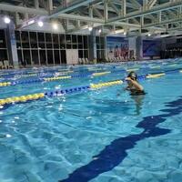 /photo/907687/swim/1687323431390_mmexport16_1_1_small.jpg