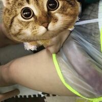 /photo/921811/活动照片/6b1c99eea15df18d94f5b0acf23f143c_1_3_small.jpg