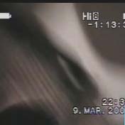 /video/1/shipin/031_small.jpg